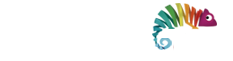 Webformas - Agência de Marketing em São Paulo